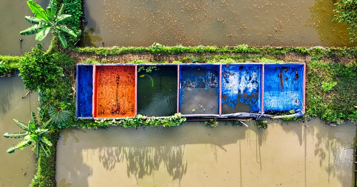 découvrez l'aquaponie, une méthode innovante combinant aquaculture et hydroponie pour cultiver plantes et poissons de manière durable et écologique.