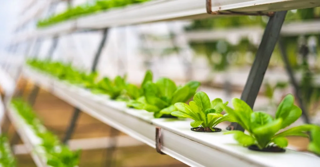 découvrez l'aquaponie, une méthode durable combinant l'aquaculture et la culture hydroponique pour produire des plantes et poissons de manière écologique et efficace.
